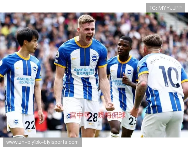 英超球队布莱顿霍夫的历史与现状